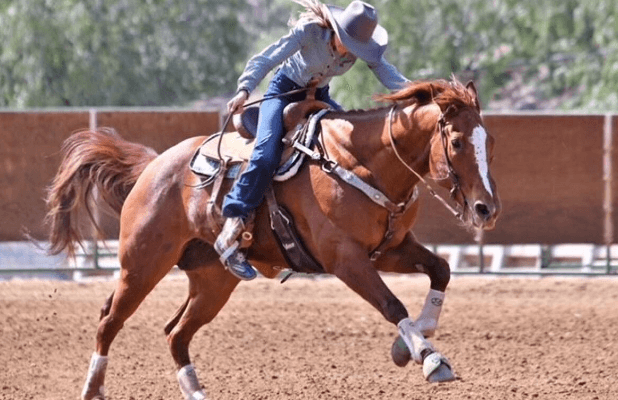 horse barrel racing