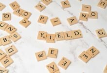 dividend stocks as safe investments
