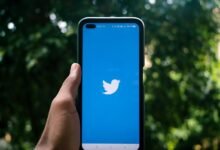 grow your social media
