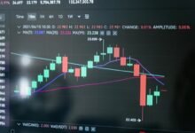market crash response strategies