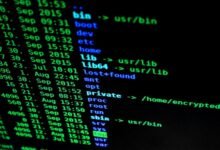 protecting online privacy effectively