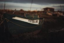 industry insights and analysis